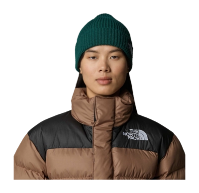 2---TNF-Logo-Box-Cuffed-Beanie (1)-_no-bg