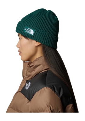 4---TNF-Logo-Box-Cuffed-Beanie (3)-_no-bg