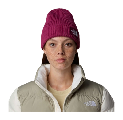 2---TNF-Logo-Box-Cuffed-Beanie (9)-_no-bg