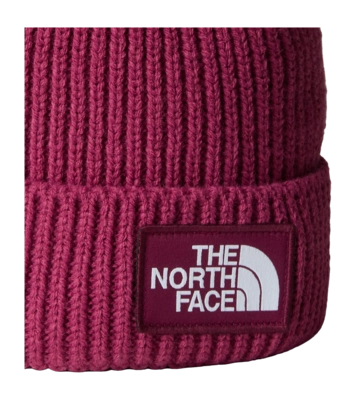 3---TNF-Logo-Box-Cuffed-Beanie (10)-_no-bg