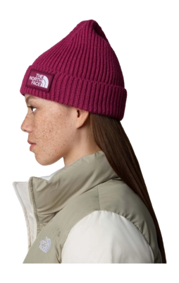 4---TNF-Logo-Box-Cuffed-Beanie (11)-_no-bg