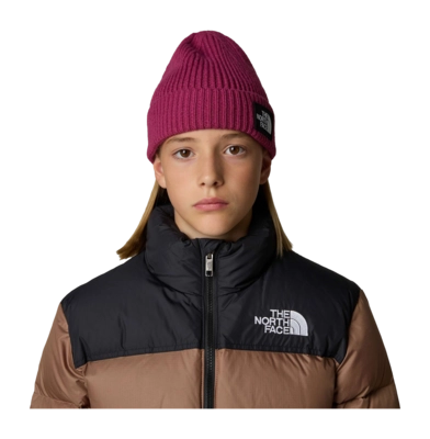 2---Kids-TNF-Box-Logo-Cuffed-Beanie (9)-_no-bg