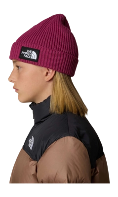 4---Kids-TNF-Box-Logo-Cuffed-Beanie (11)-_no-bg