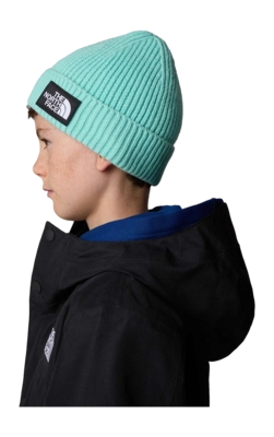 Kids-TNF-Box-Logo-Cuffed-Beanie (7)-_no-bg