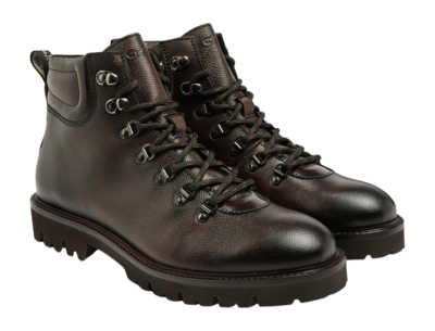 554205-3499-chestnut-cavair_002-_no-bg