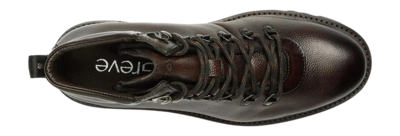 554205-3499-chestnut-cavair_003-_no-bg