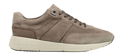 Baskets Greve Walker H 3246 Taiga Suede