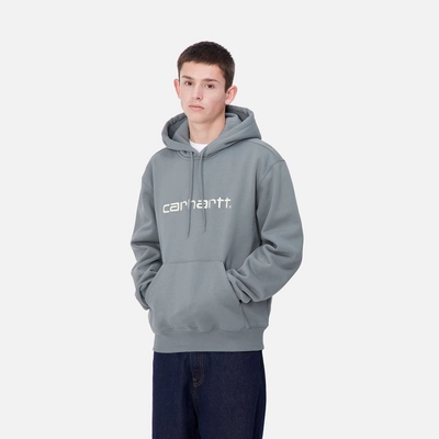 3---hooded-carhartt-sweat-dove-grey-wax-467