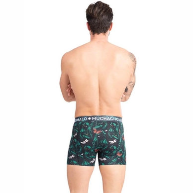 2---1010-PRINT-A-BACKnew-11369