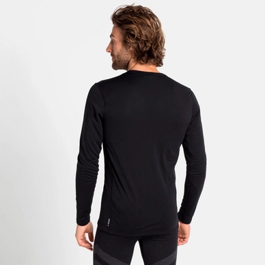 2---188242_15015_Model_Back_Crop