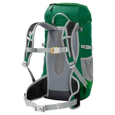 Rugzak Jack Wolfskin Kids Alpine Trail Cucumber Green
