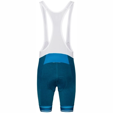 2---422052_20784_Torso_Back