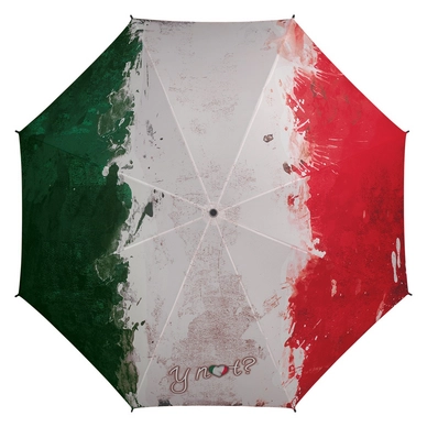 Parapluie Y-Not Long AC Paint Drapeau Italien Multicolore