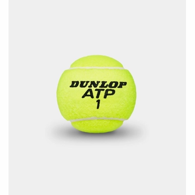 Tennisbal Dunlop ATP Championship (2x4-Tin) 2019