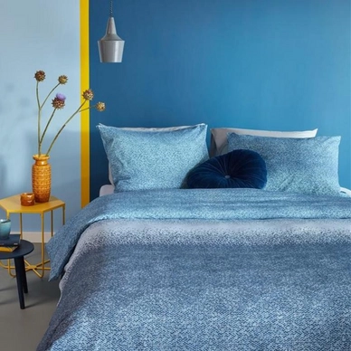 2---Claes_blue-01_mood
