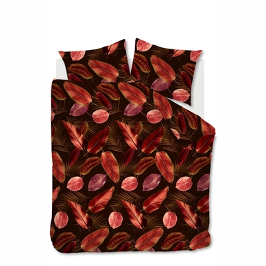 2---Cordyline_Red_NL_UV_200x200-220_10
