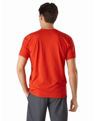 2---Cormac-Crew-SS-Dynasty-Back-View