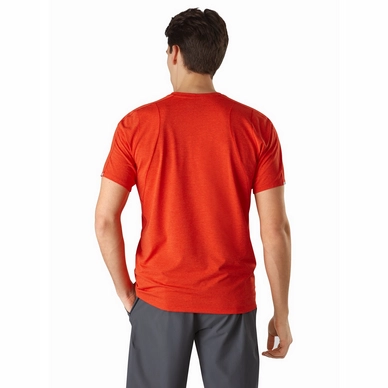 2---Cormac-Crew-SS-Dynasty-Back-View
