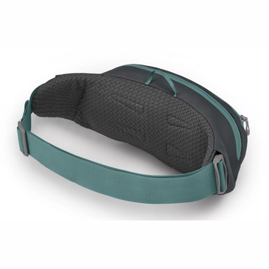 2---DayliteWaist_F21_SideBack_BasaniteEclipseGrey