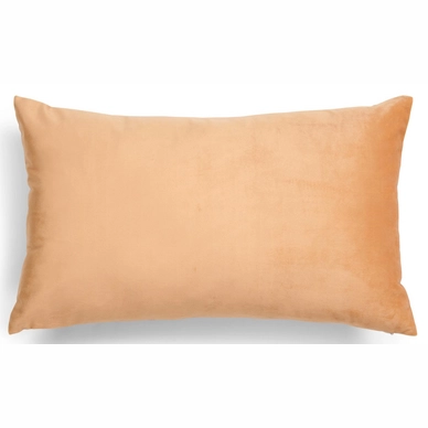 2---FABIENNE_MUSTARD_CUSHION_PB_LR1
