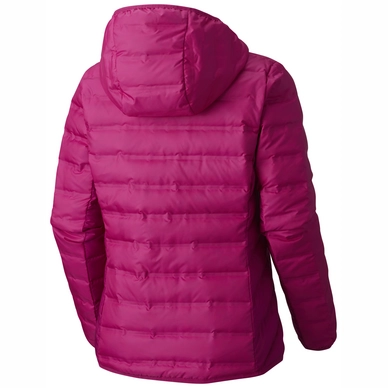 Winterjas Columbia Women Lake 22 Hooded Deep Blush