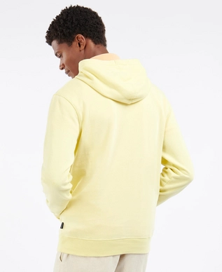 2---MOL0342YE93_SS22_back_model