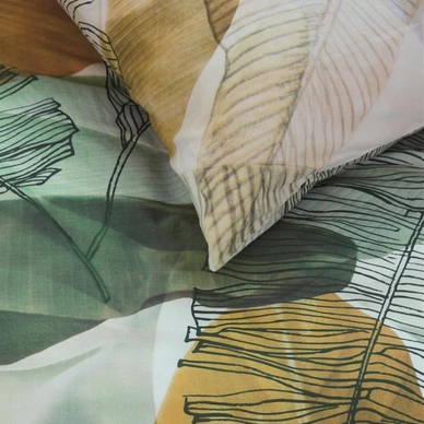 2---Musa_Green_Detail