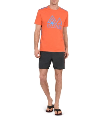 T-Shirt Napapijri Men Stebbins Orange