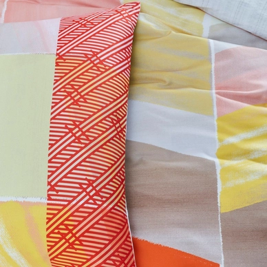 2---OLY_Calypso_Multi_Detail
