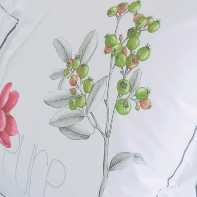 Housse de Couette Tradilinge Pure Percale Percale