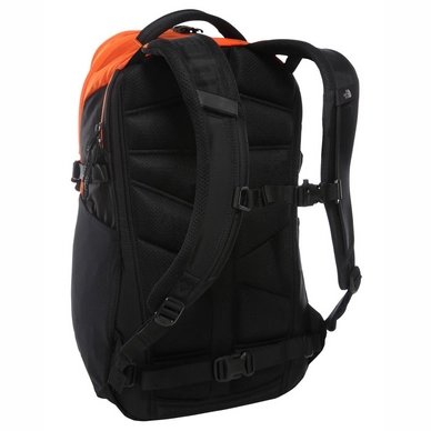 2---Recon persian orange 2
