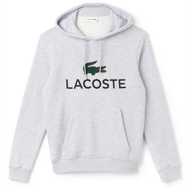 Trui Lacoste 1HS1 Hoodie Argent Chine