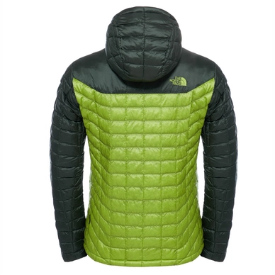 Winterjas The North Face M Thermoball Hoodie Climbing Ivy Green