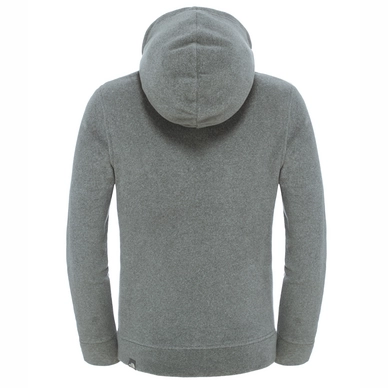 Trui The North Face Youth 100 Drew Peak Hoodie Medium Grey