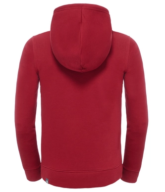 Trui The North Face Youth Drew Peak Biking Red