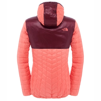 Winterjas The North Face Women's Thermoball Plus Hoodie Spiced Coral