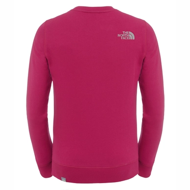 Trui The North Face Youth Drew Peak Crew Roxbury Pink