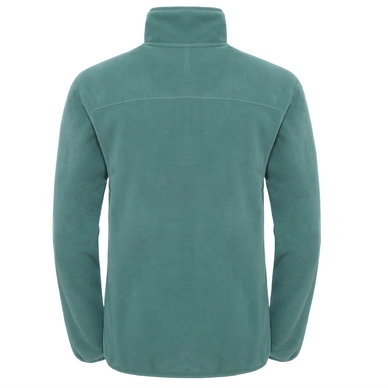 Trui The North Face M 100 Glacier 1/4 Zip Duck Green