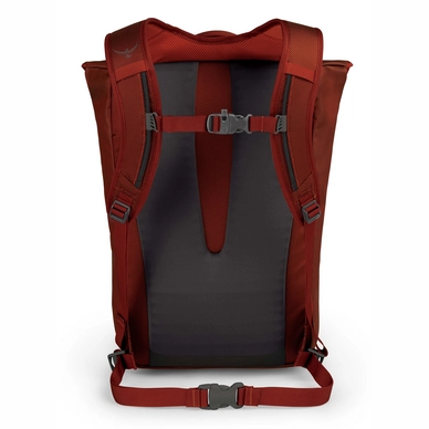 2---Transporter_Flap_F19_Back_Ruffian_Red
