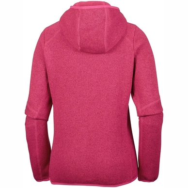 Vest Columbia Women Altitude Aspect Hooded Fleece Punch Pink Heather