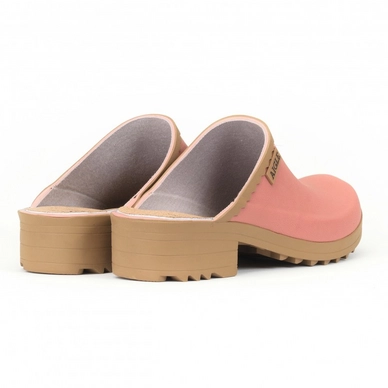 2---aig2445x-1