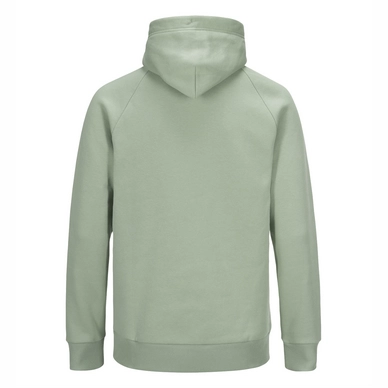 Trui Peak Performance Men Logo Hood Downy Green