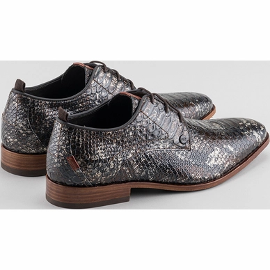 2---greg-snake-splash-4800-brown_achter