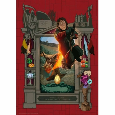 2---harry-potter-4-puzzel-1000-stukjes-2