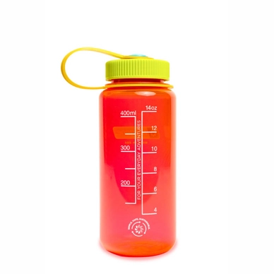 2---16oz-WM-Pomegranate_Back-505x758