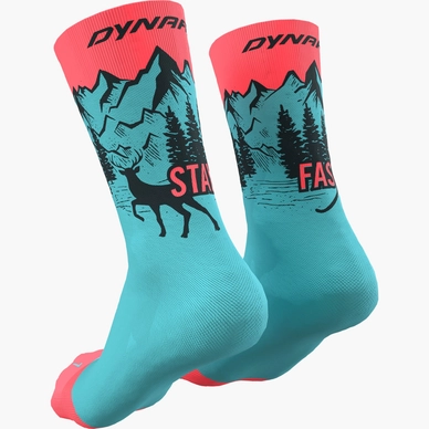 2---1e02582e-e6fd-4de0-b538-300b5530eb42_dynafit