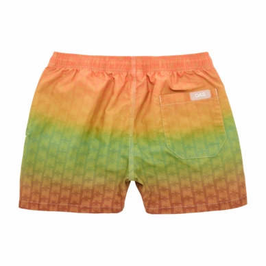 2---859_953db5e1b2-reggae-air-swim-shorts-5001-292-b-original-_no-bg