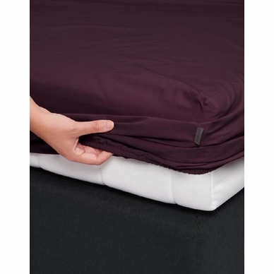 2---minte_fitted_sheet_burgundy_401244_103_275_lr_s1_p
