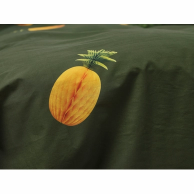 2----Pineapples_Snurk-6642