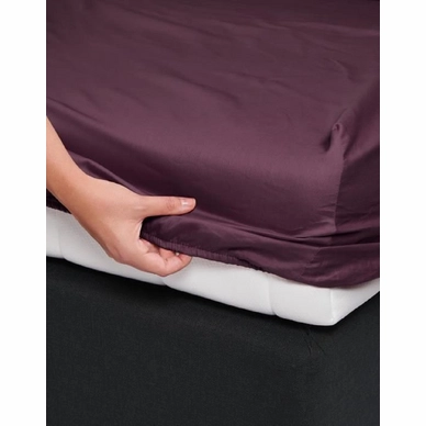 2---satin_fitted_sheet_marsala_405001_103_362_lr_s1_p